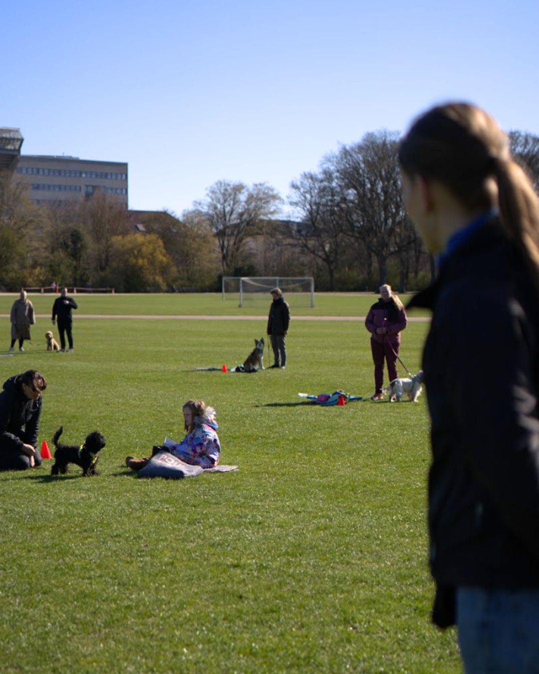 Design uden navn (20).jpg__PID:31e23886-78d3-438a-9eb5-f252062ca74e