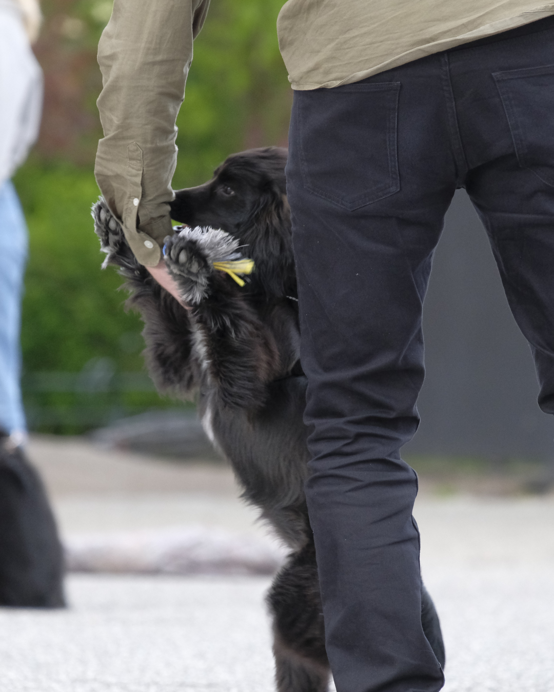 UNGHUNDEHOLD JAN / FEB