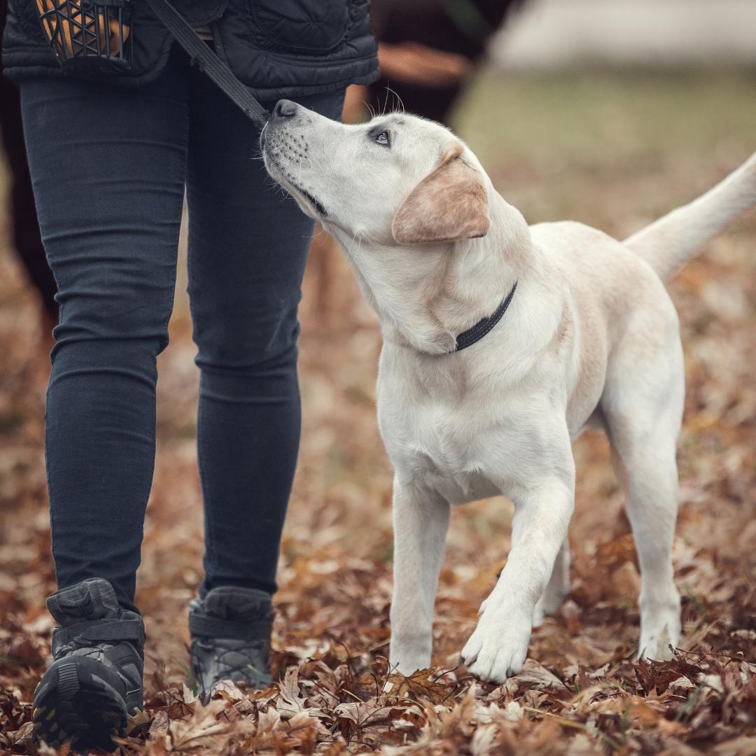 SELVKONTROL / WORKSHOP 15. MARTS KL. 11