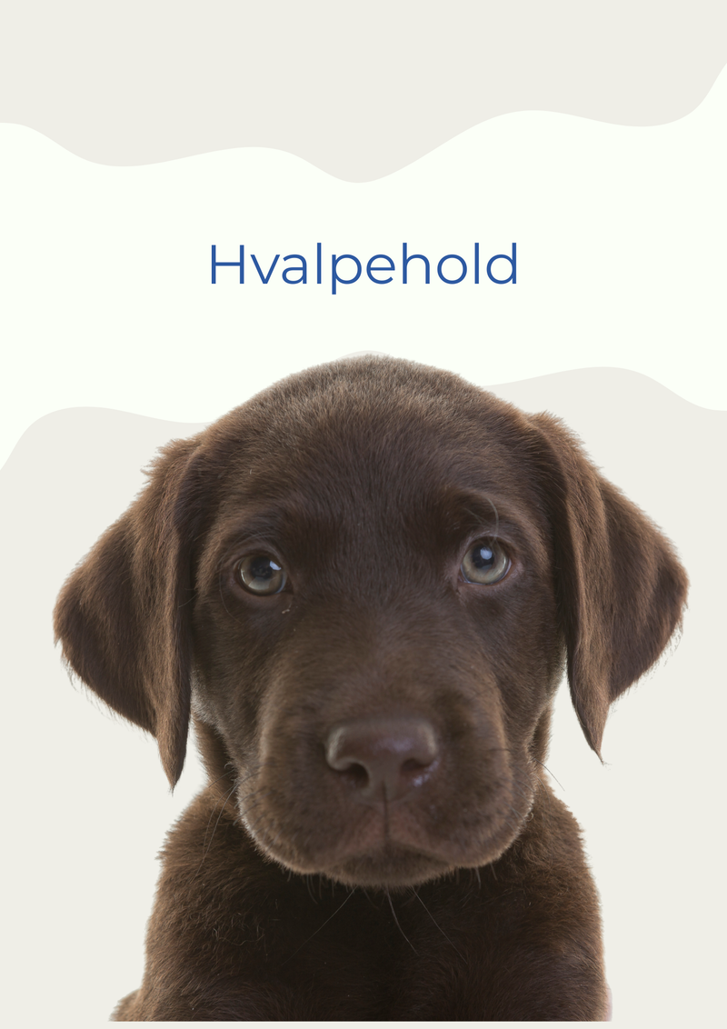 HVALPEHOLD JAN / FEB