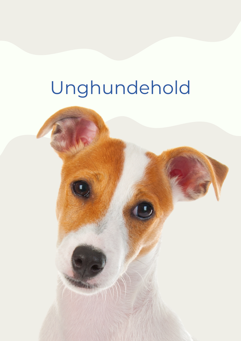 UNGHUNDEHOLD JAN / FEB