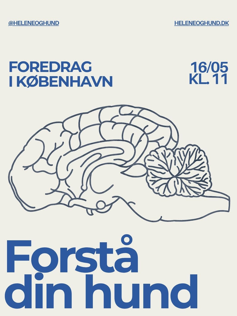 Forstå din hund - foredrag