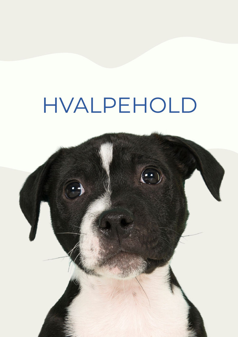 HVALPEHOLD MAJ / JUNI