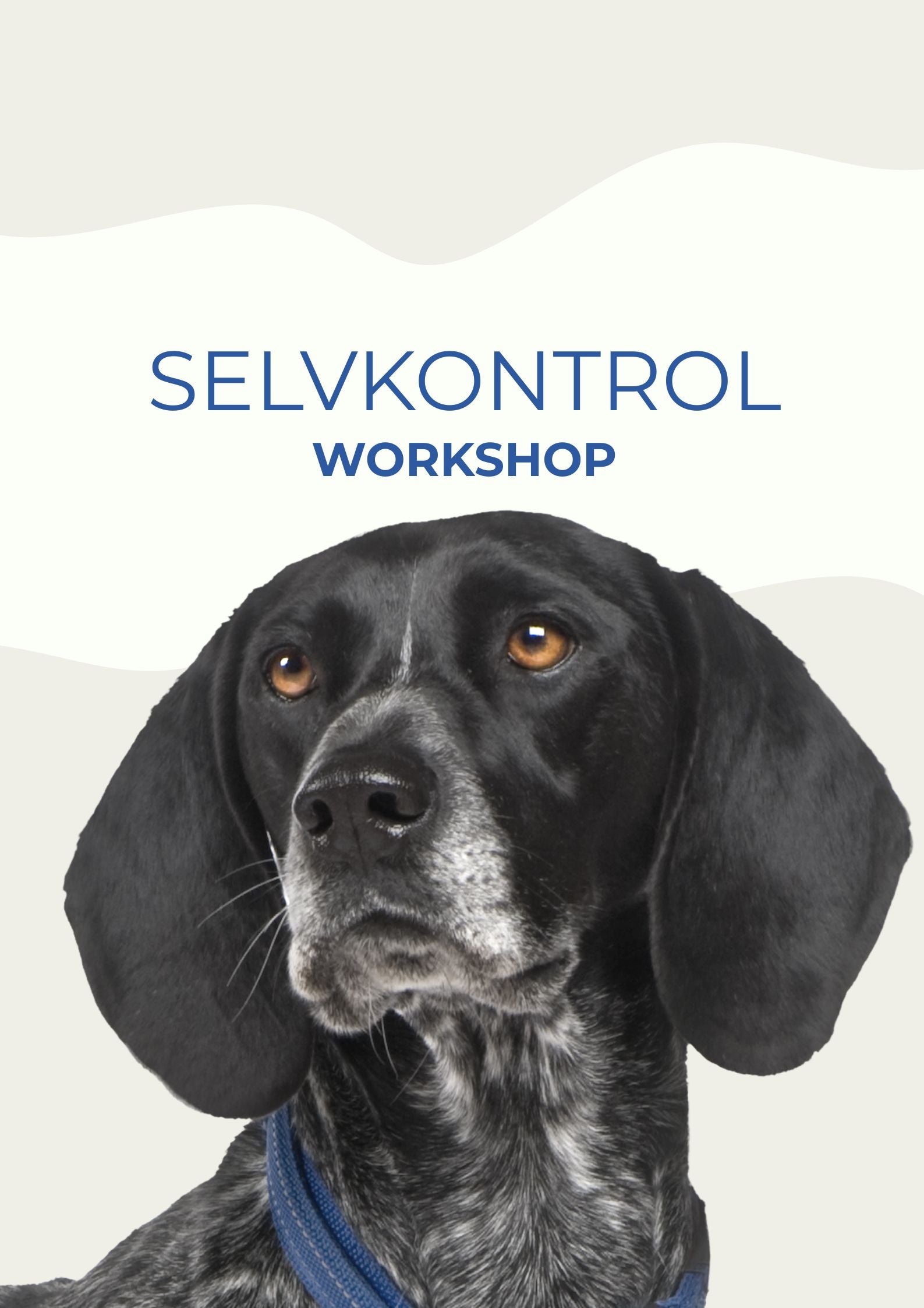 SELVKONTROL / WORKSHOP 15. MARTS KL. 13