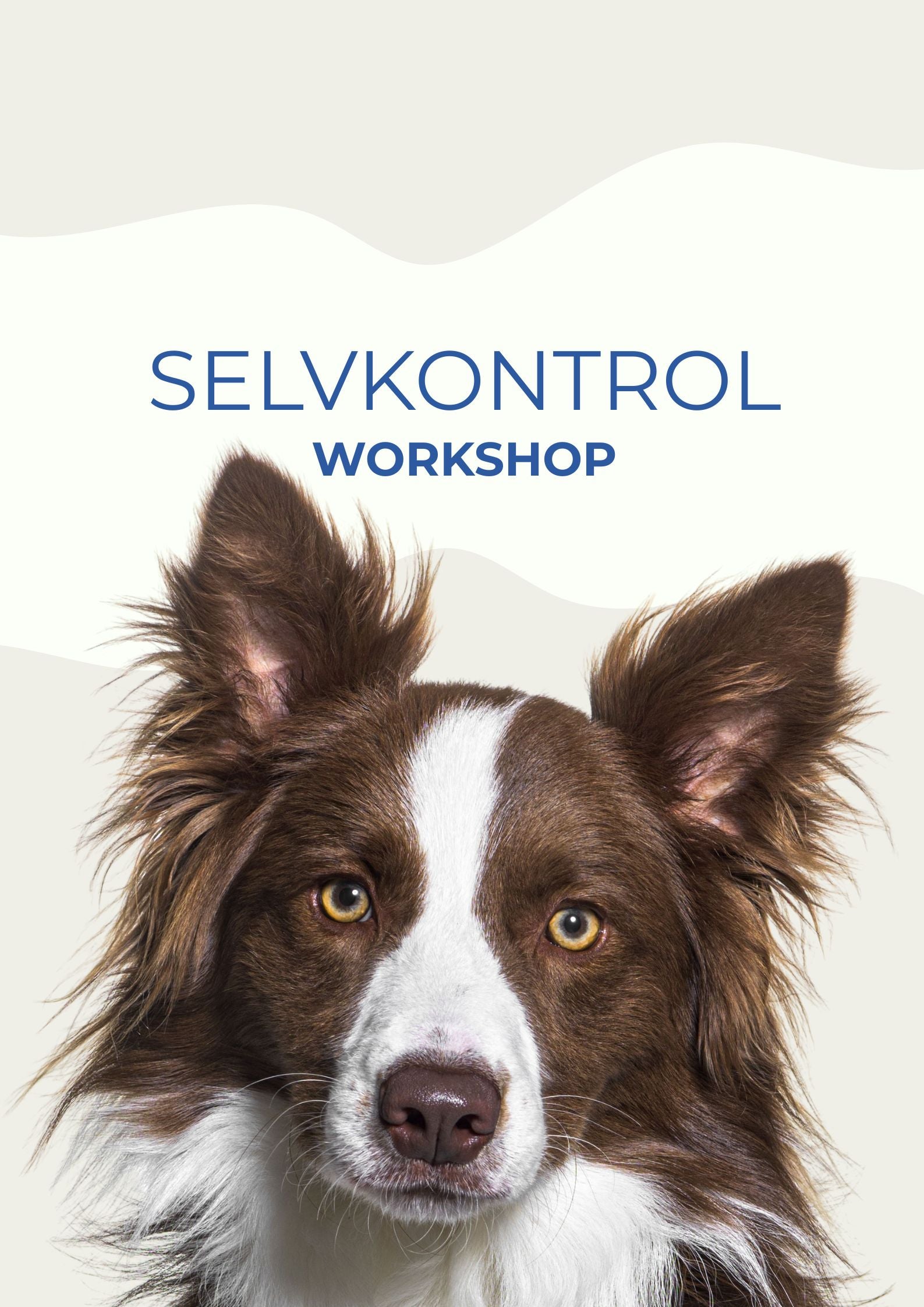 SELVKONTROL / WORKSHOP 15. MARTS KL. 11