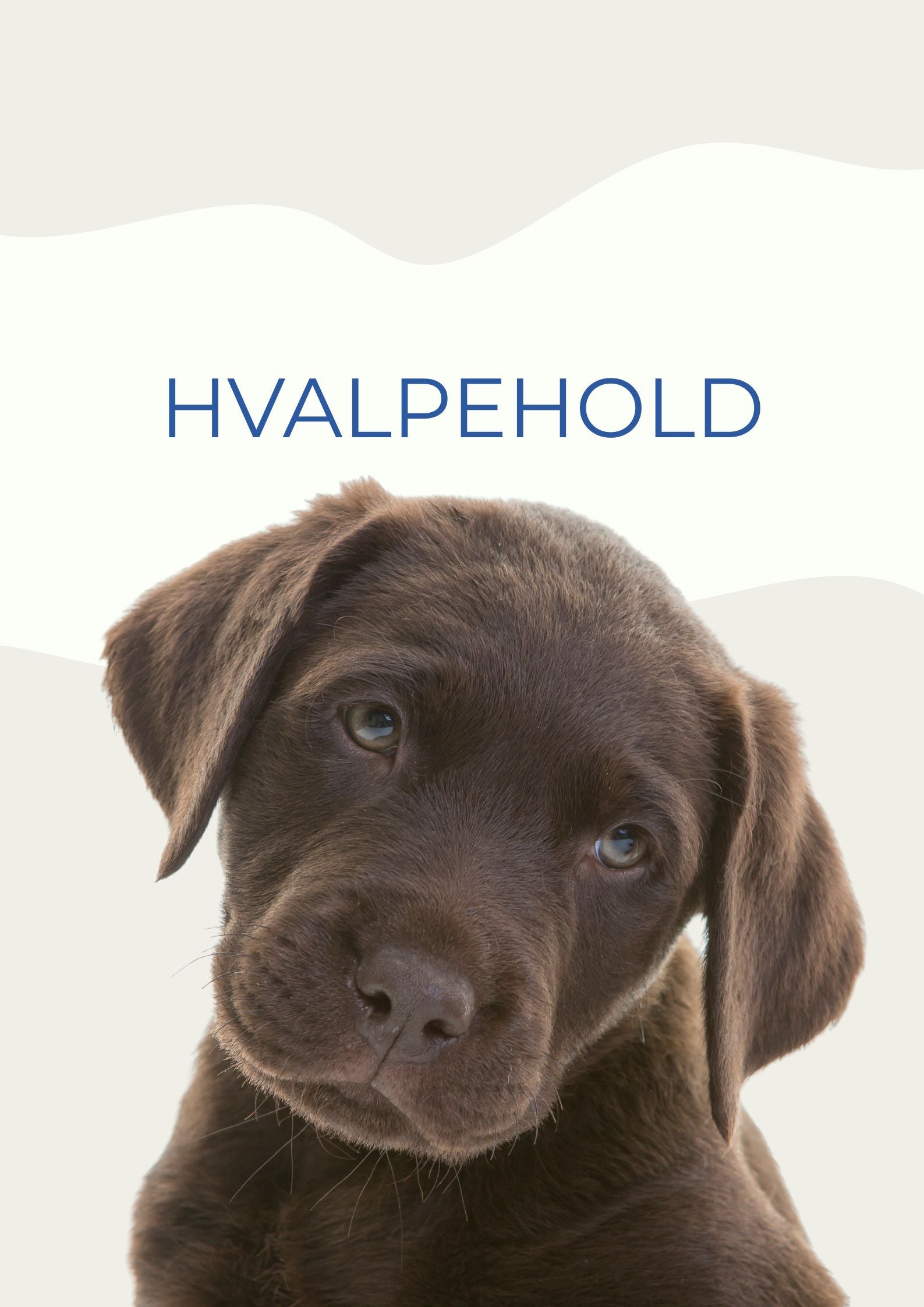 HVALPEHOLD APR / MAJ