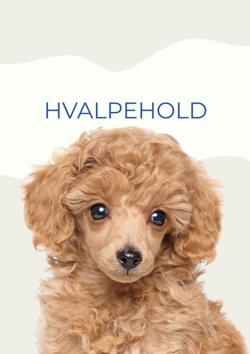 HVALPEHOLD MAR / APR