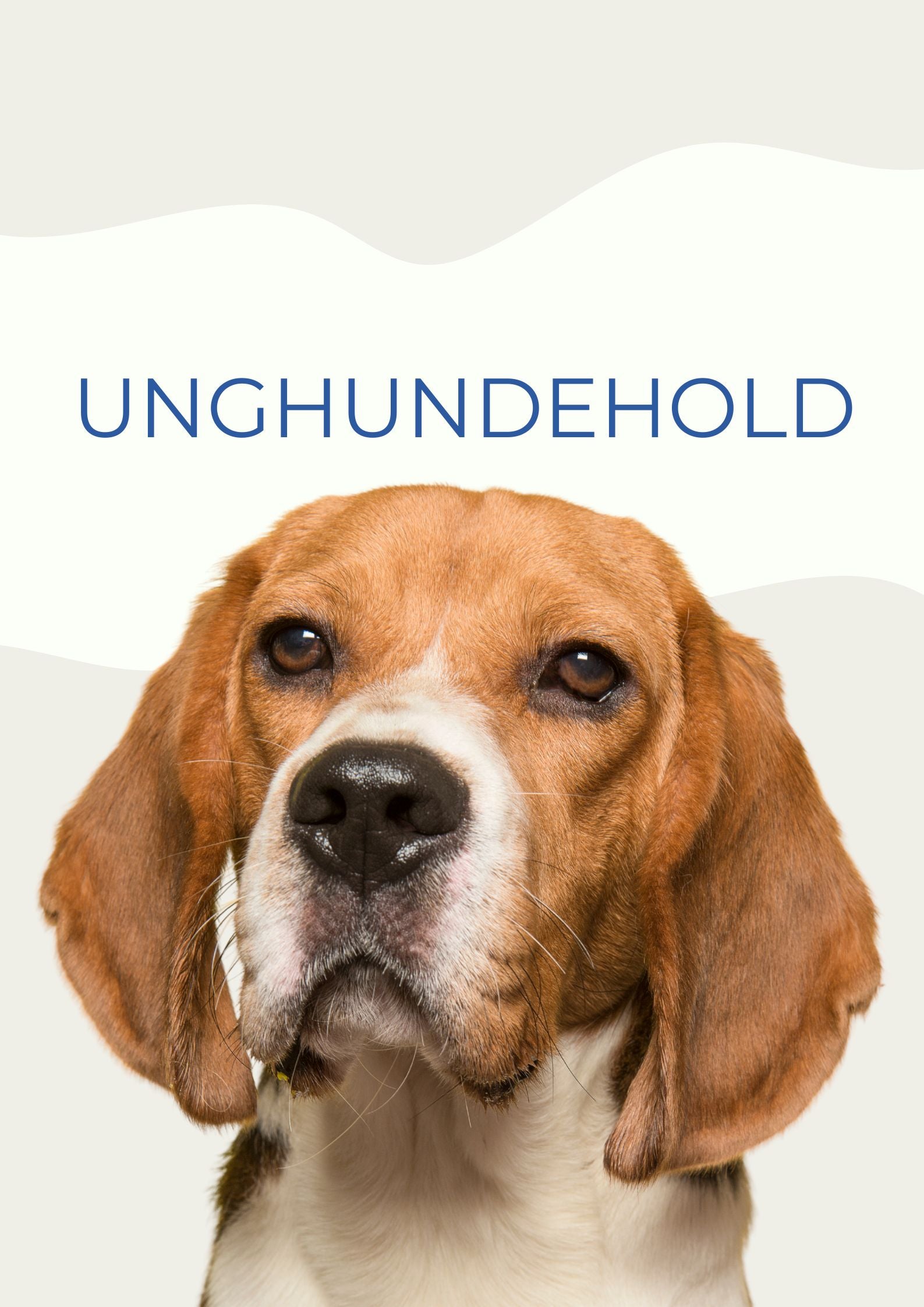 UNGHUNDEHOLD JAN / FEB