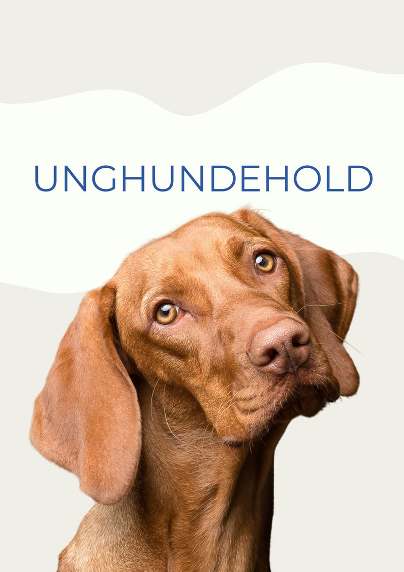 UNGHUNDEHOLD MAR / APR