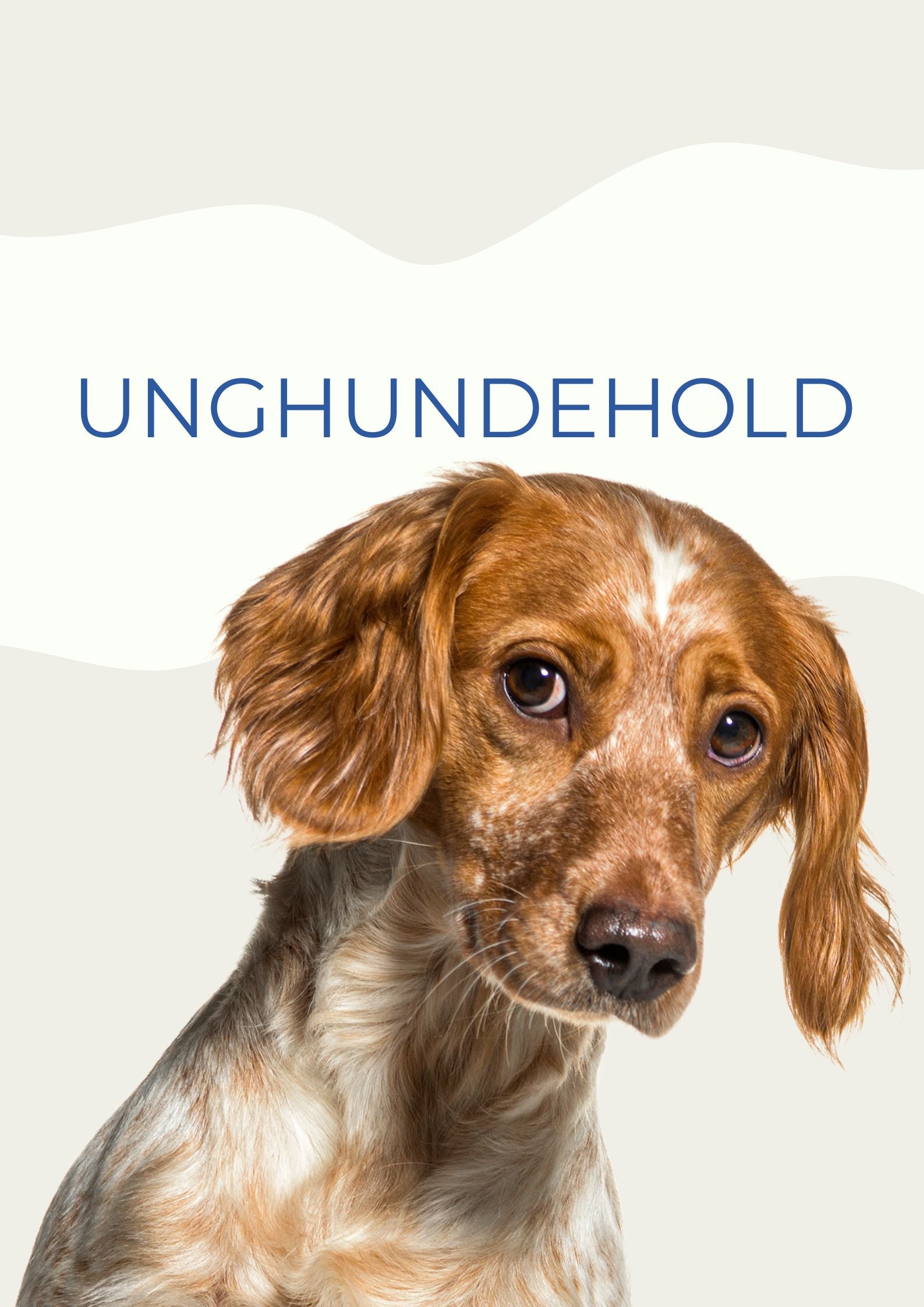 UNGHUNDEHOLD APR / MAJ