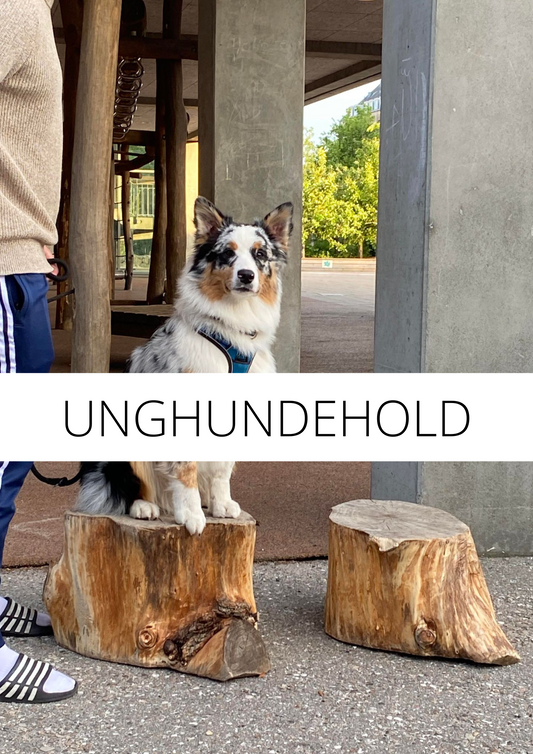 UNGHUNDEHOLD AUG / SEP