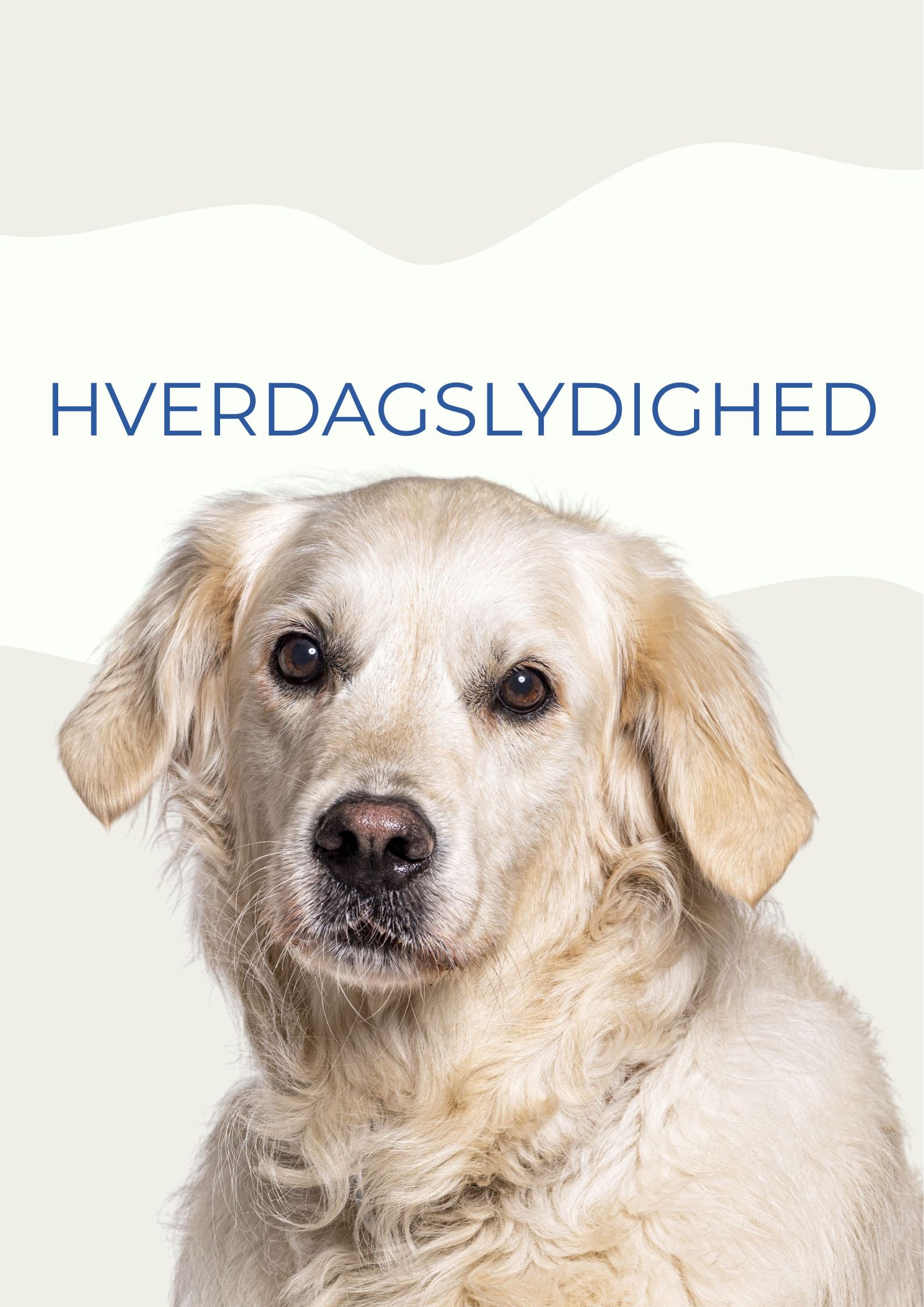 HVERDAGSLYDIGHED MAR / APR